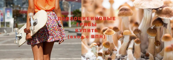 эйфоретик Абаза