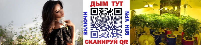 МАРИХУАНА марихуана  MEGA онион  Тырныауз 